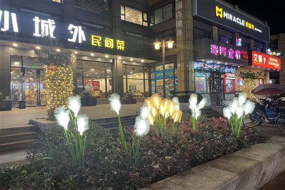 东升国际官网-相信品牌力量